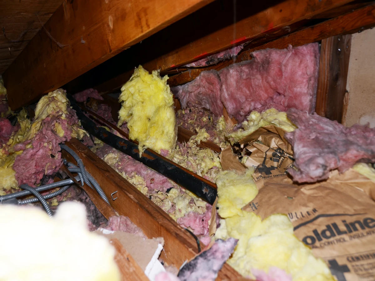 attic remediation, bacteria treatment, attic sanitization

