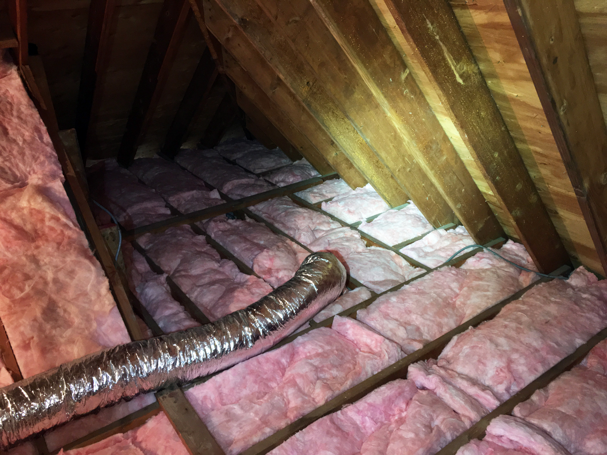 New insulation installed in attic after complete wildlife damage removal and treatment
