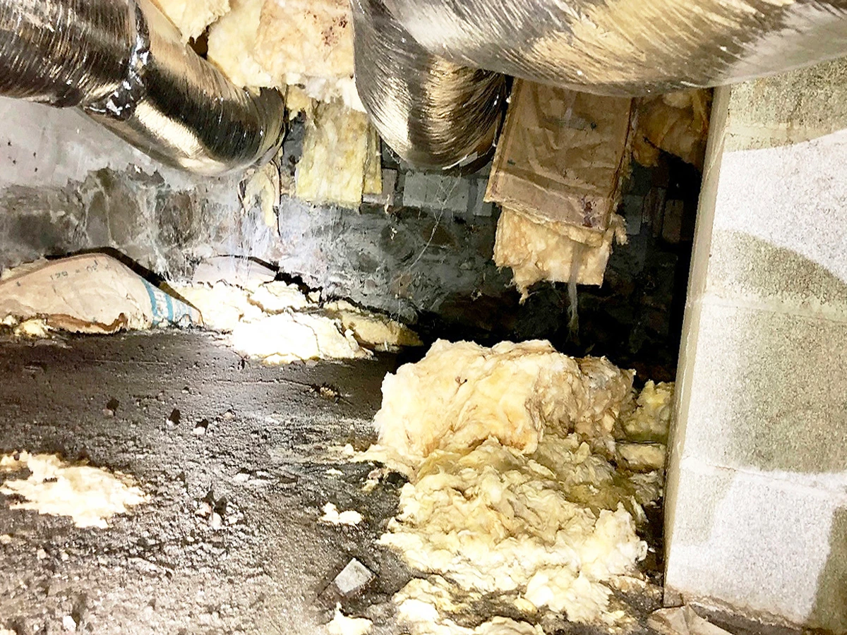 Contaminated crawlspace in need of cleaning