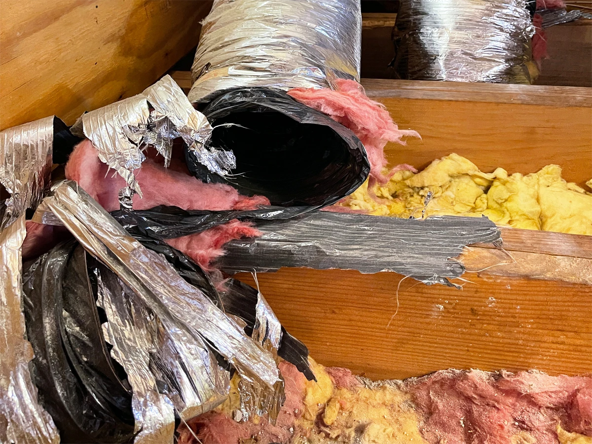 attic cleanup damage may be covered by your insurance