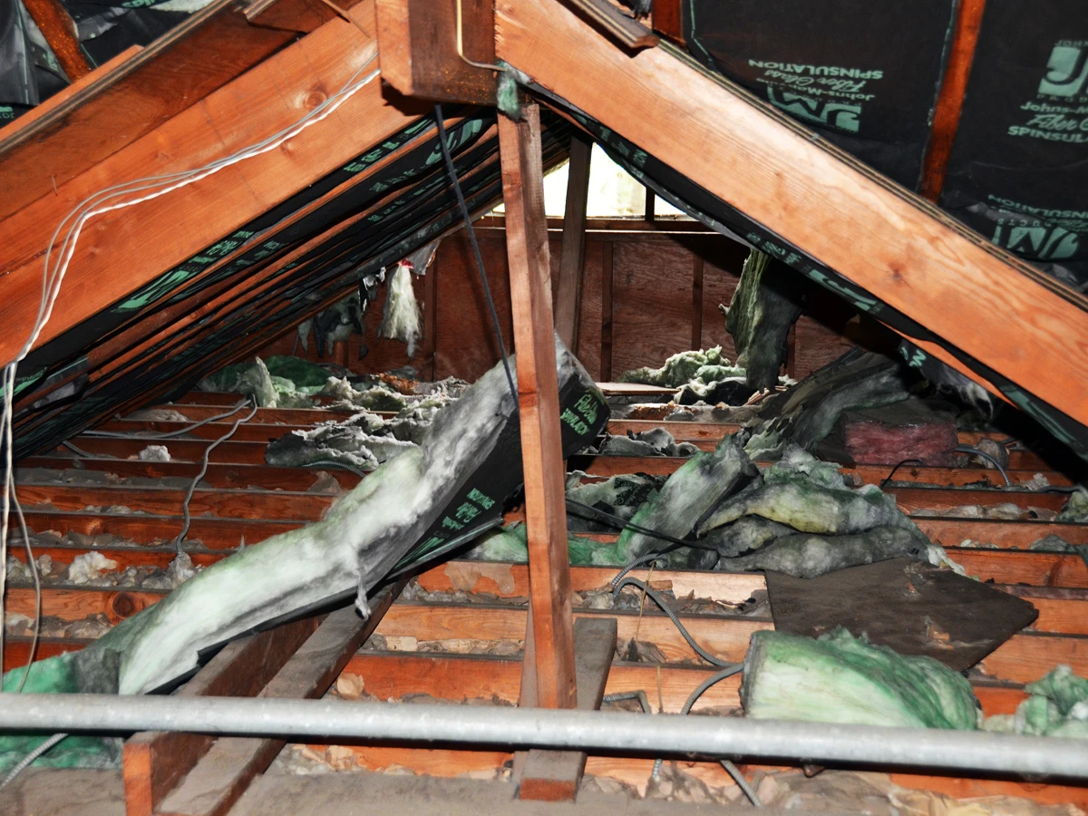 this attic needs a full restoration