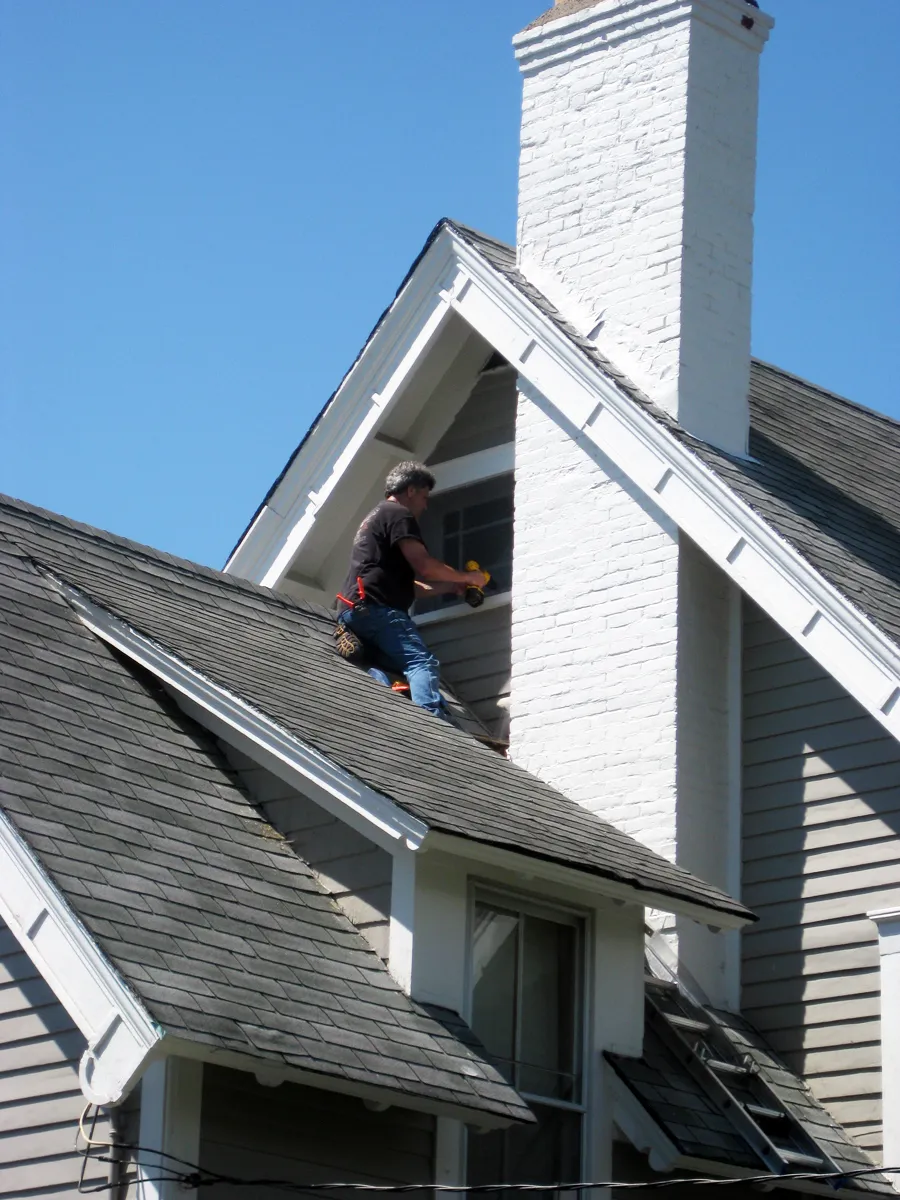 Rodent Removal in Bergen County