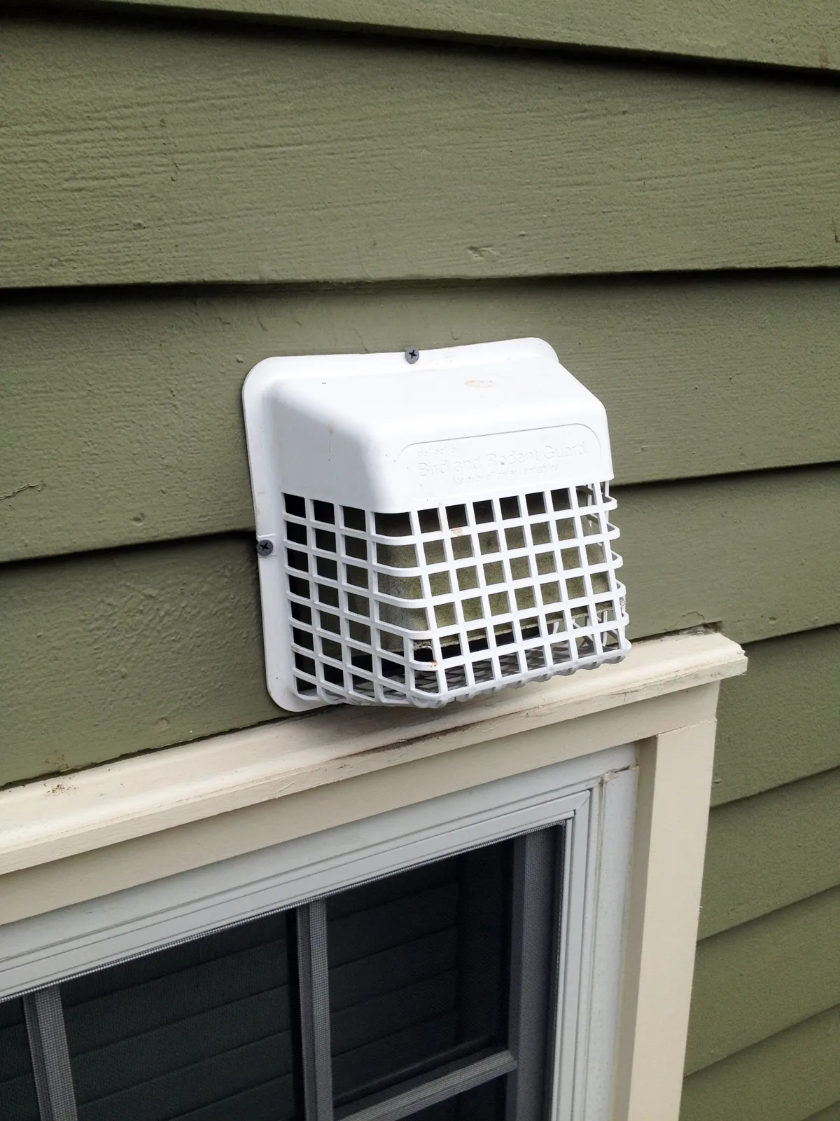 Dryer vent bird guard installed