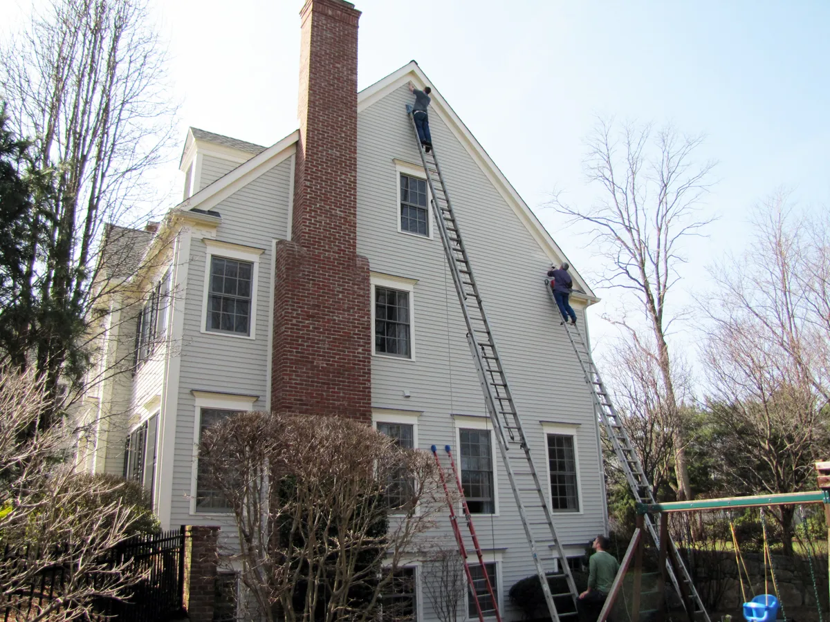 Rodent exclusion in Westport, Fairfield County