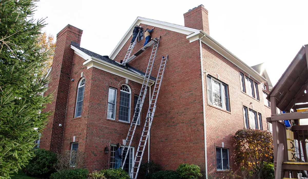 Bat proofing home Westchester NY