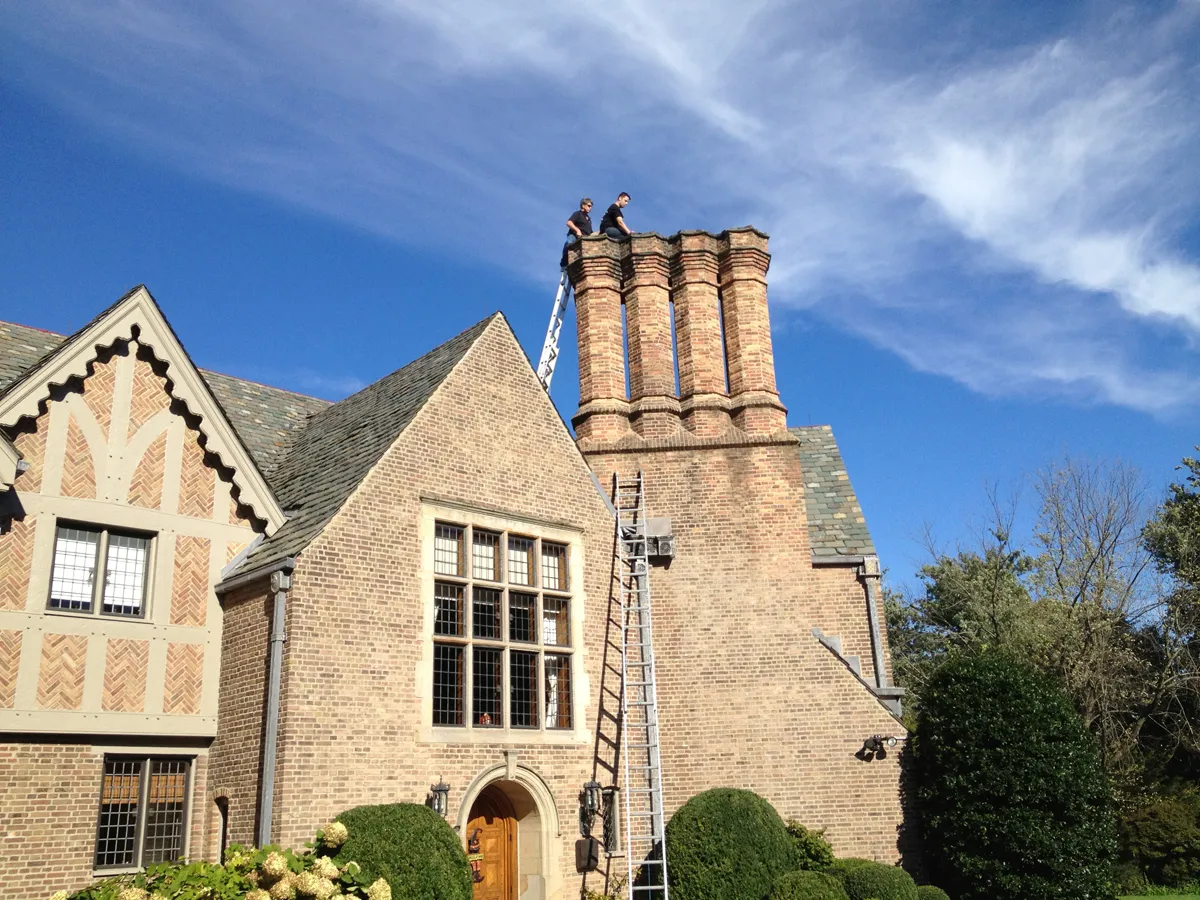 Keeping animals out of chimneys