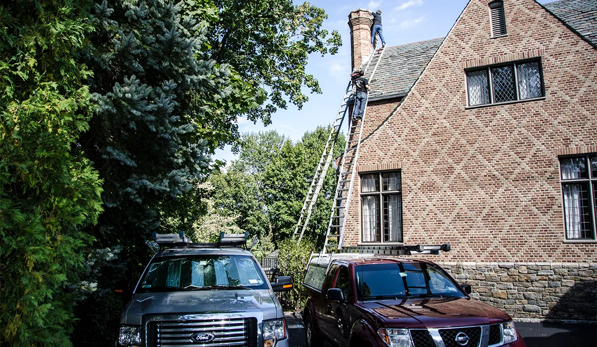 Wildlife exclusion service