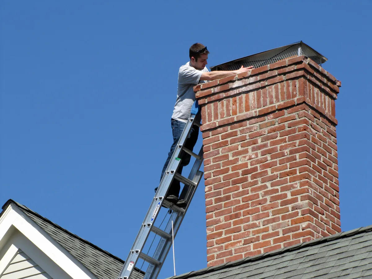 Full home bat exclusion in Little Falls, Passaic County
