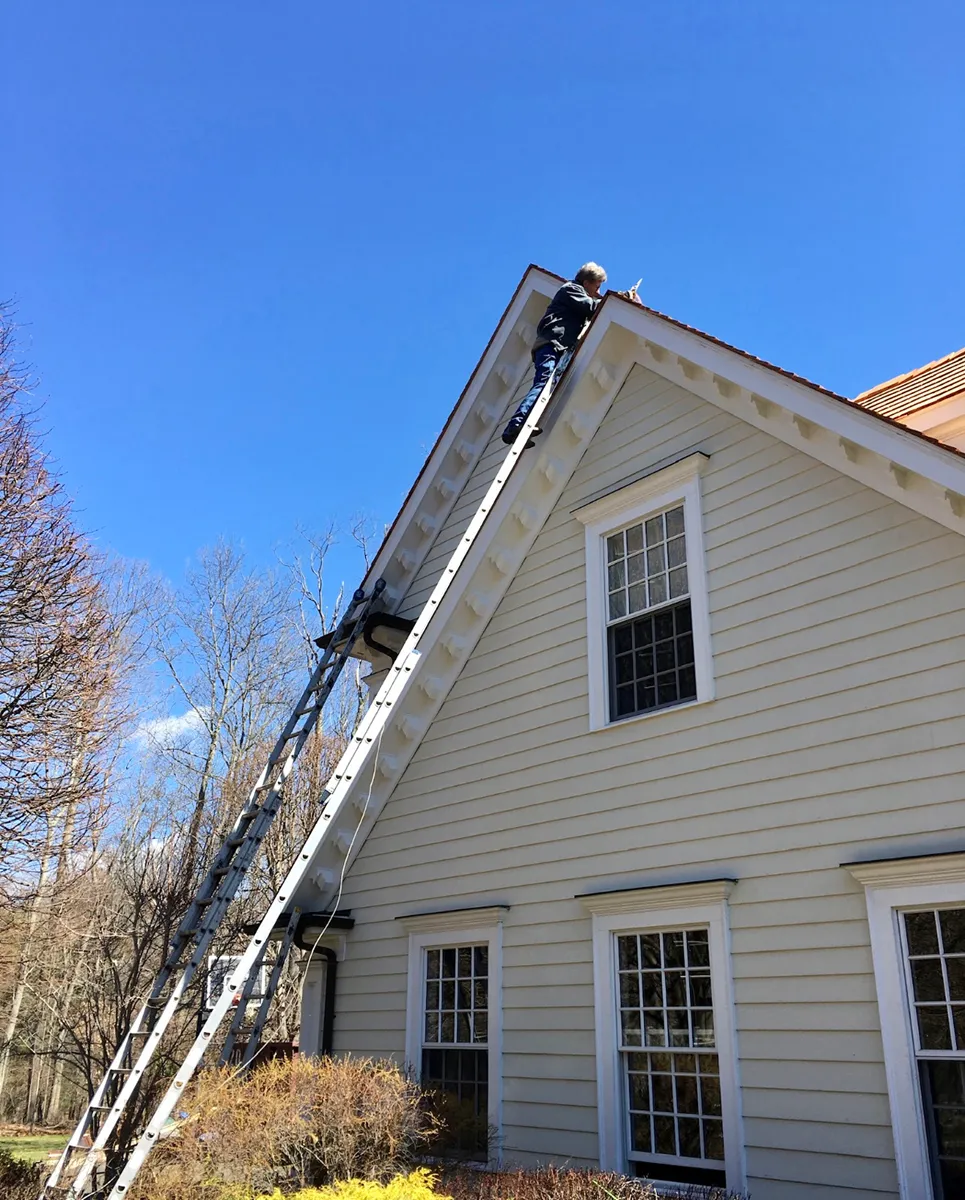 Rodent exclusion in Pearl River, Rockland County