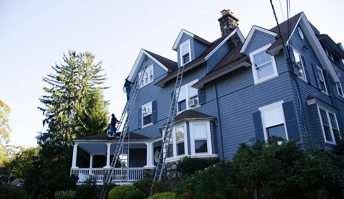 Full bat exclusion in Nyack, Rockland County