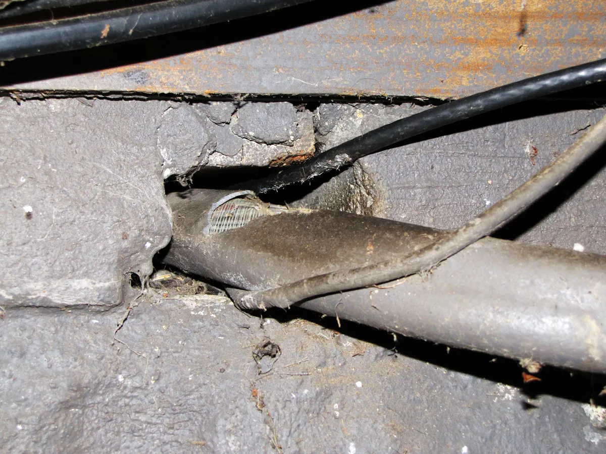 Rodent exclusion utility gaps