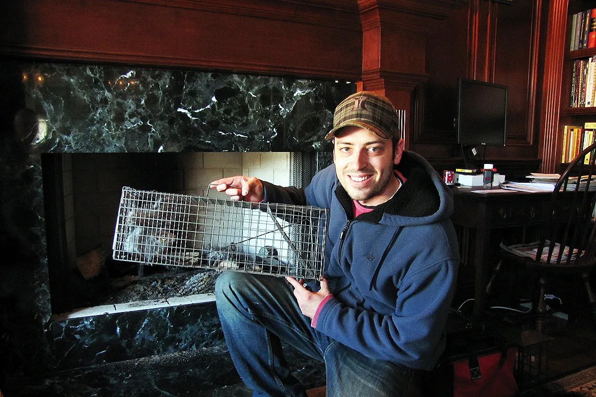 Squirrel in chimney removal