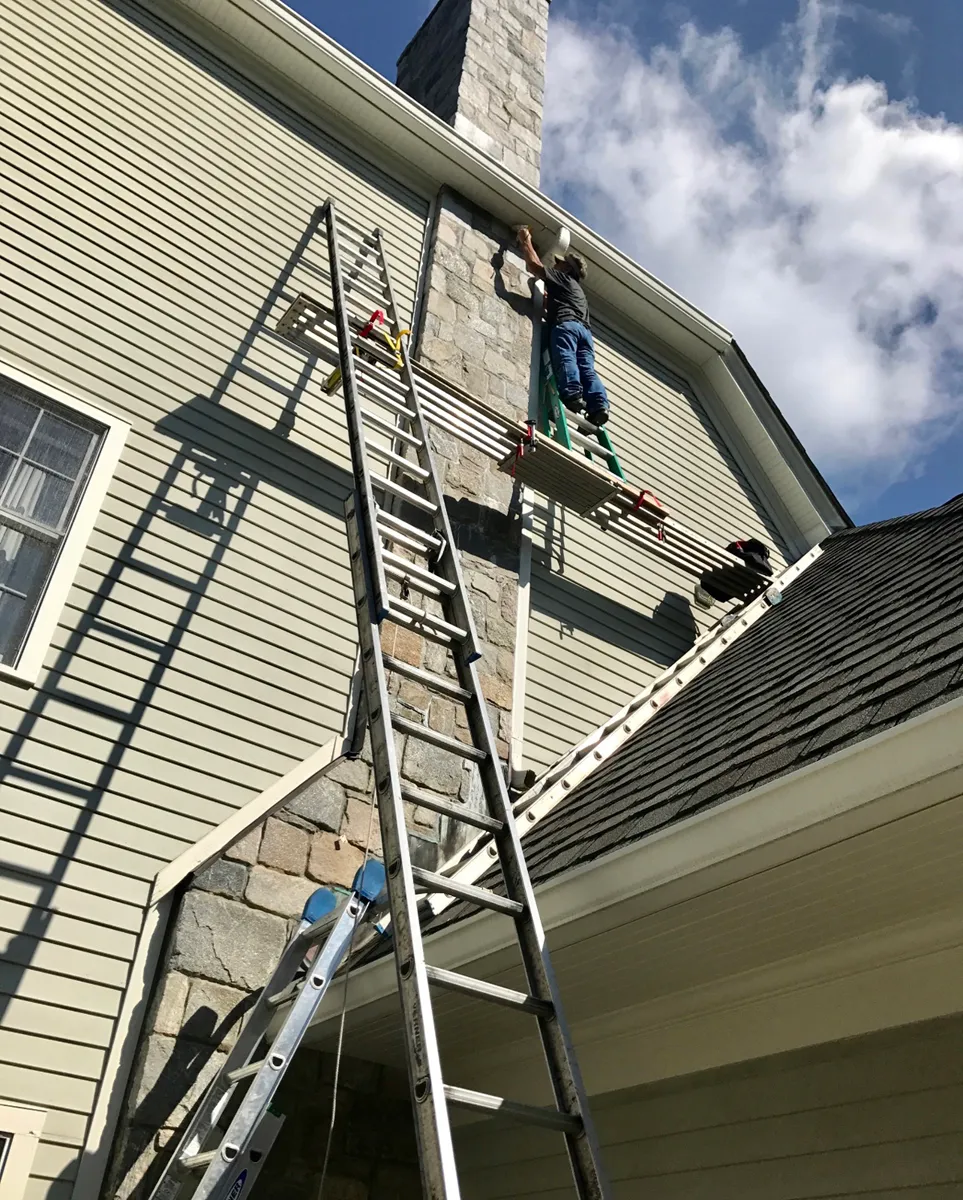 Rodent exclusion in Bronxville, Westchester County