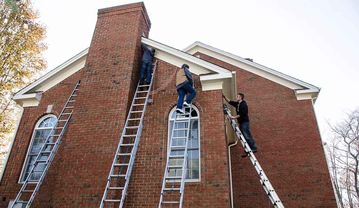 Full home bat exclusion in White Plains, Westchester County