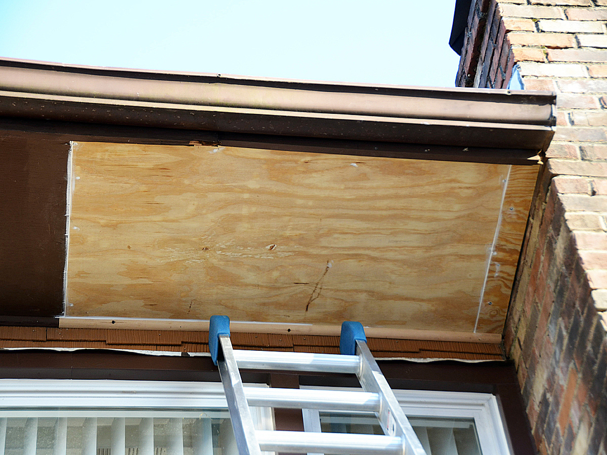 animal damage repair new plywood