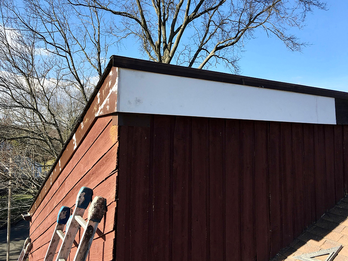 squirrel damage installed composite boards