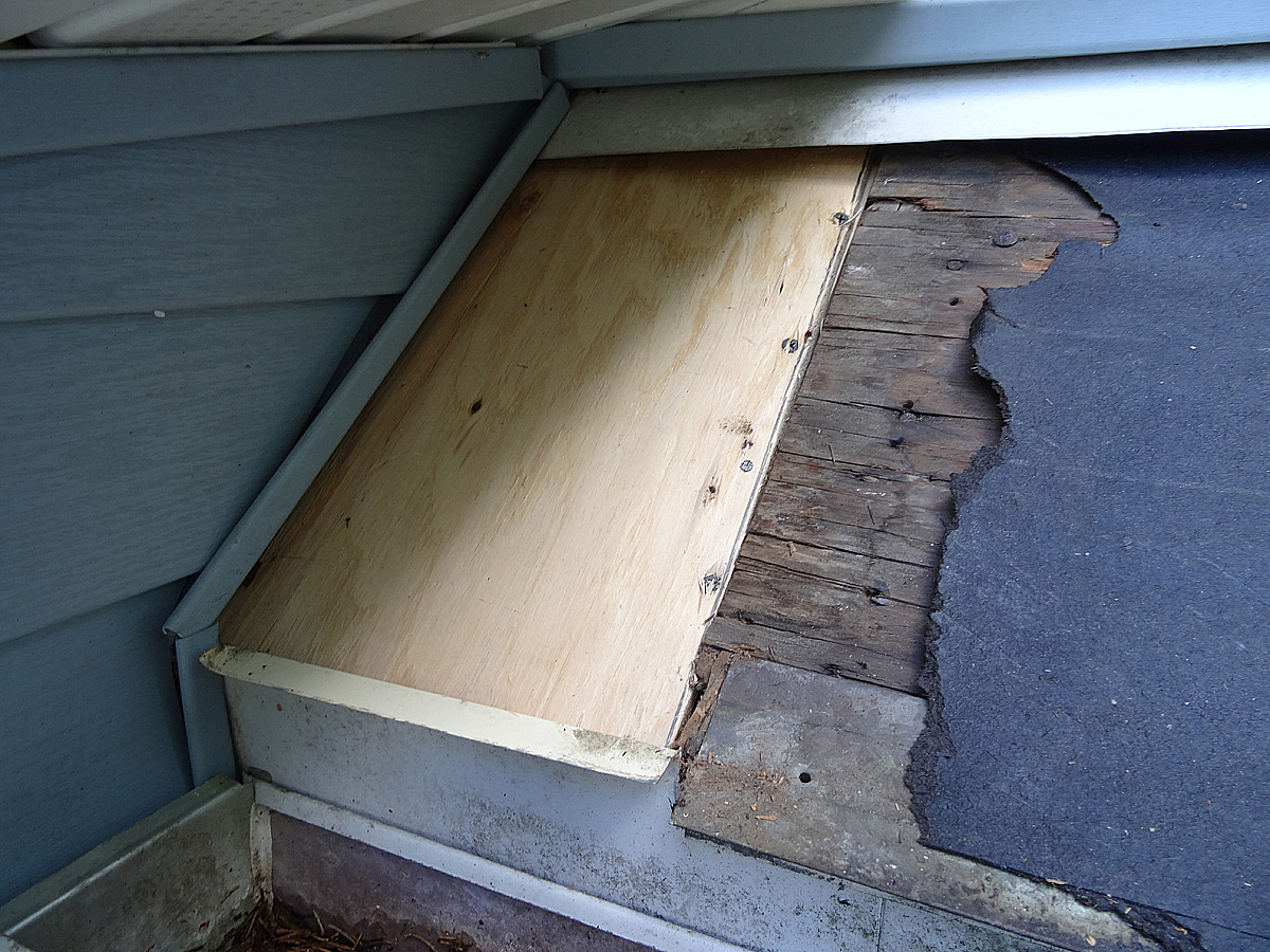 new plywood installed