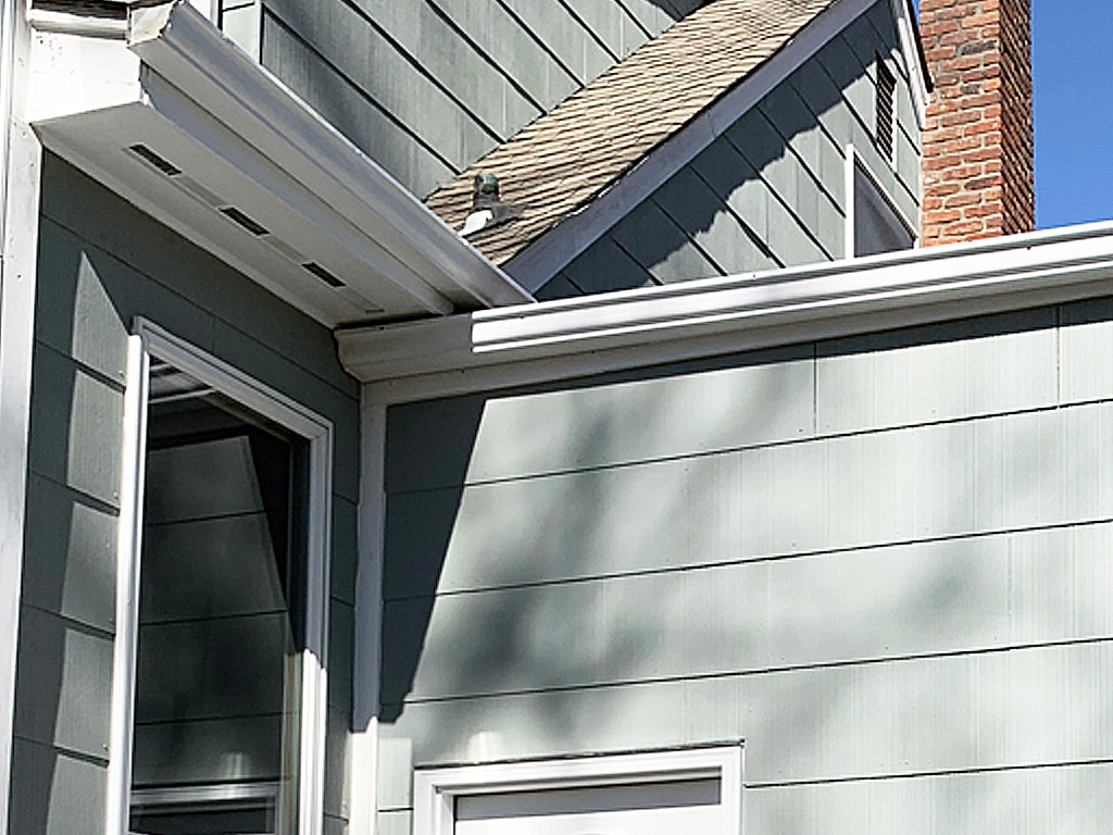 raccoon damage - fixed