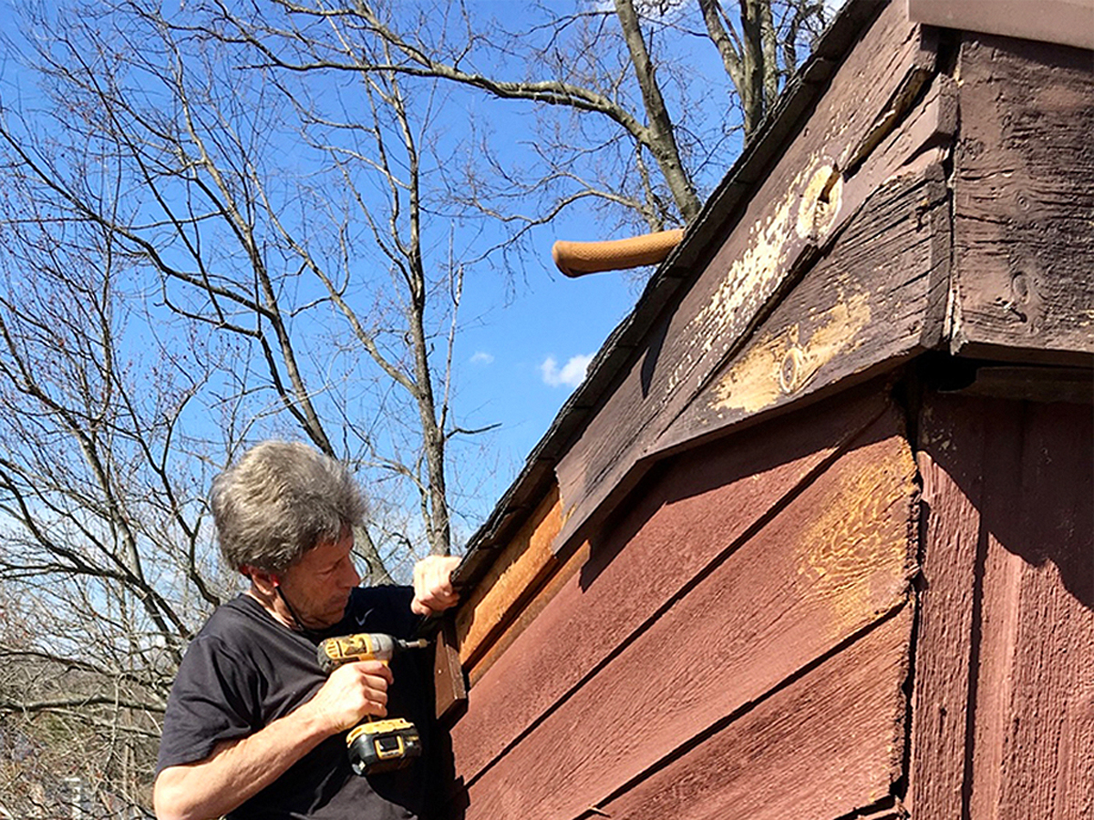 squirrel damage to fascia and soffit