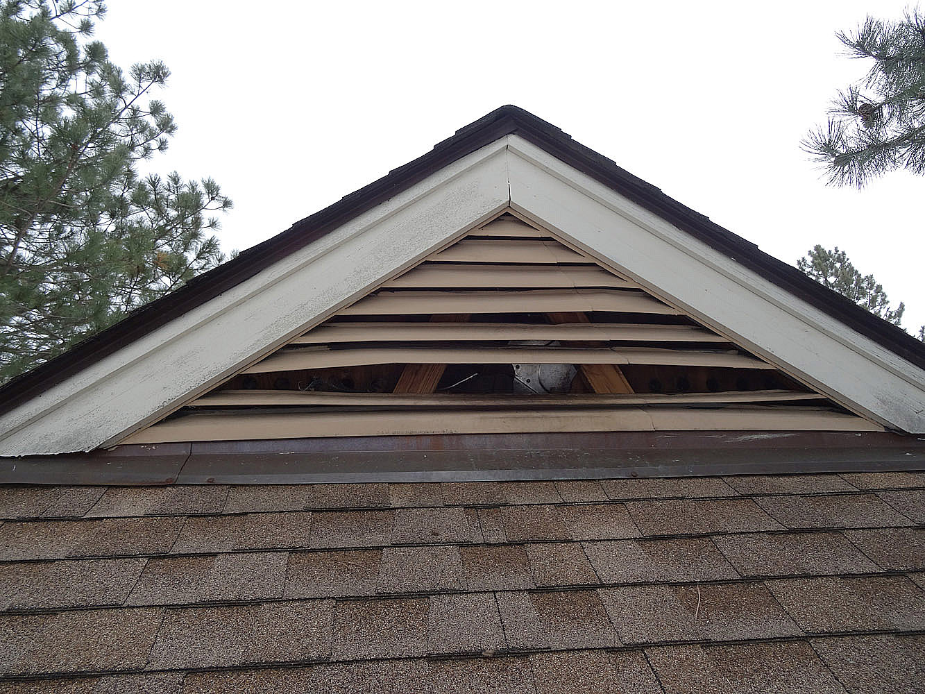 Custom wildlife-proof vent cover installed and painted to match home exterior
