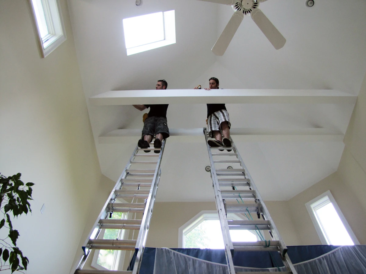 bat proofing house in new york