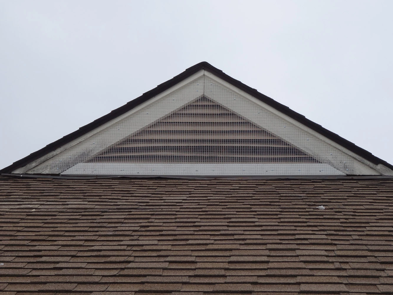 Custom wildlife-proof vent cover installed and painted to match the home exterior