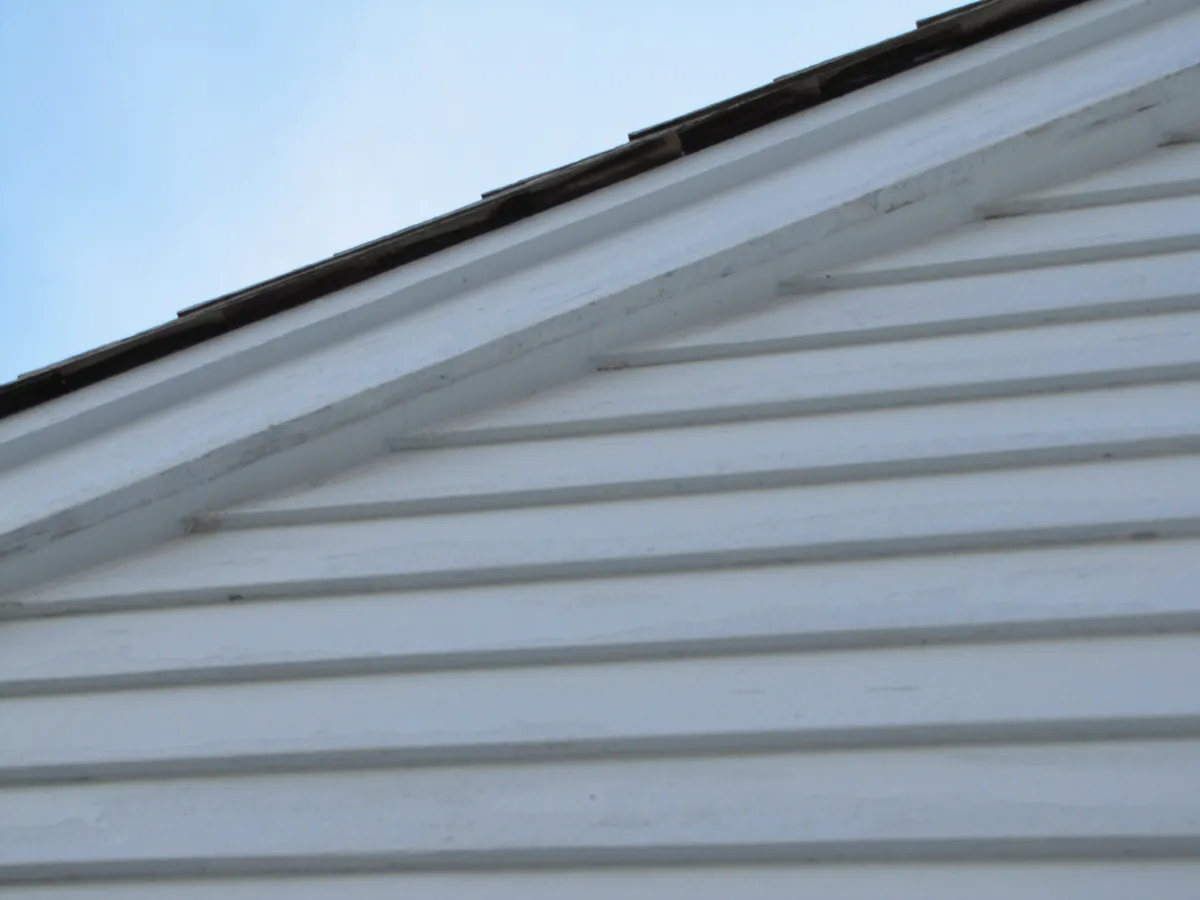 Bat exclusion Rye NY after